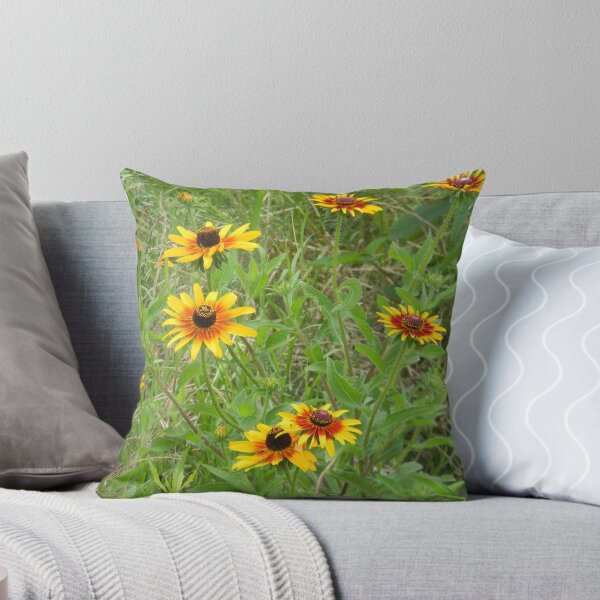 Item preview, Coreopsis or Brown Eyed Susans? designed and sold by Navigator.