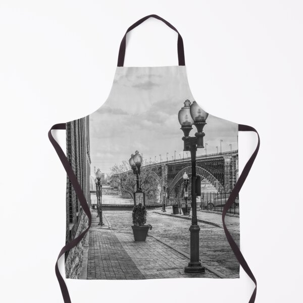 Item preview, Eads Bridge Along Lucas Ave Grayscale designed and sold by mljdwhite.