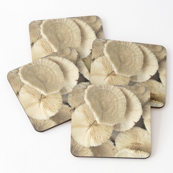 Item preview, Mushroom Corals designed and sold by Inese.
