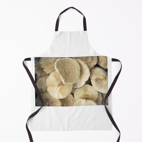 Item preview, Mushroom Corals designed and sold by Inese.