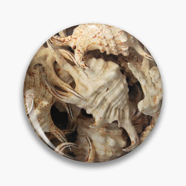 Item preview, Spider conch shells designed and sold by Inese.