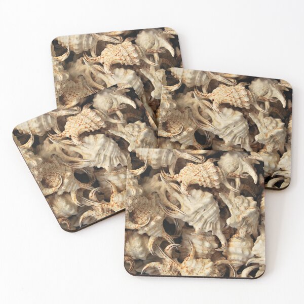 Item preview, Spider conch shells designed and sold by Inese.