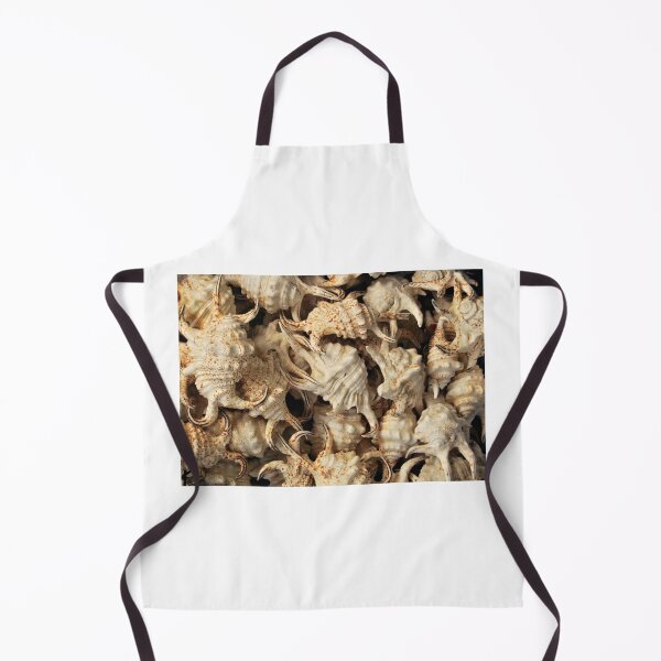 Item preview, Spider conch shells designed and sold by Inese.