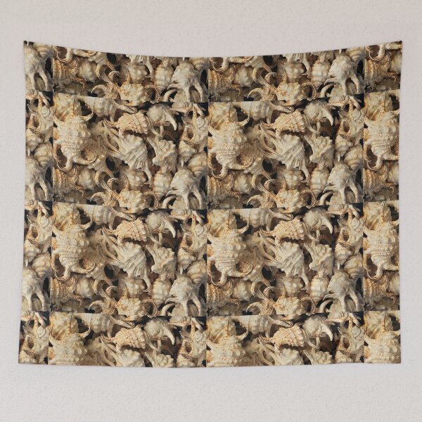Item preview, Spider conch shells designed and sold by Inese.