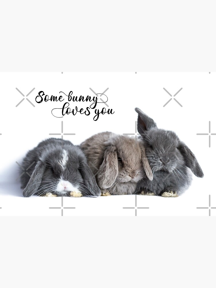 Some Bunny Loves You Greeting Cards