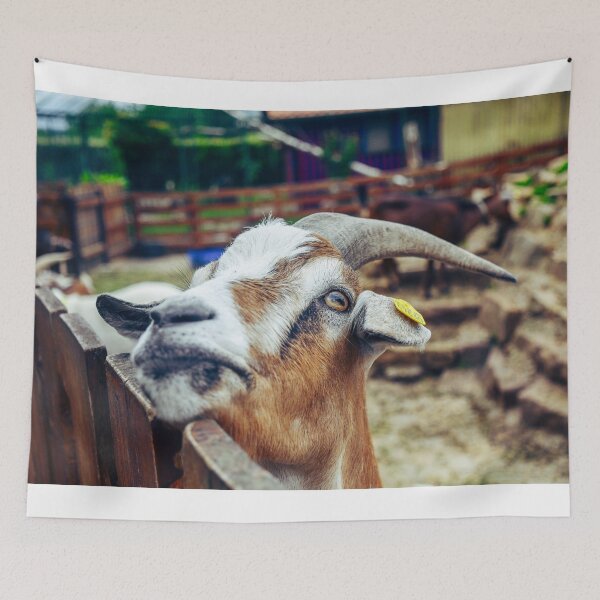Item preview, Goat designed and sold by SzendeB.