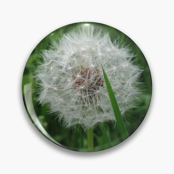 Item preview, White Dandelion designed and sold by hannachris.