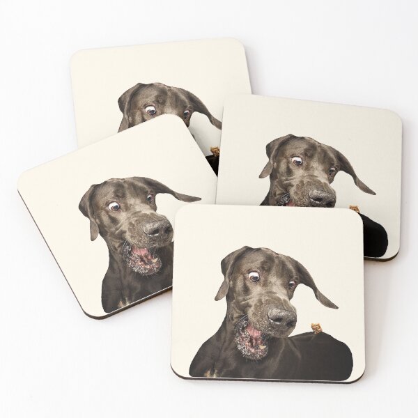 Item preview, Dog Stickers: Doggo trying to catch the treat designed and sold by Memiefy.