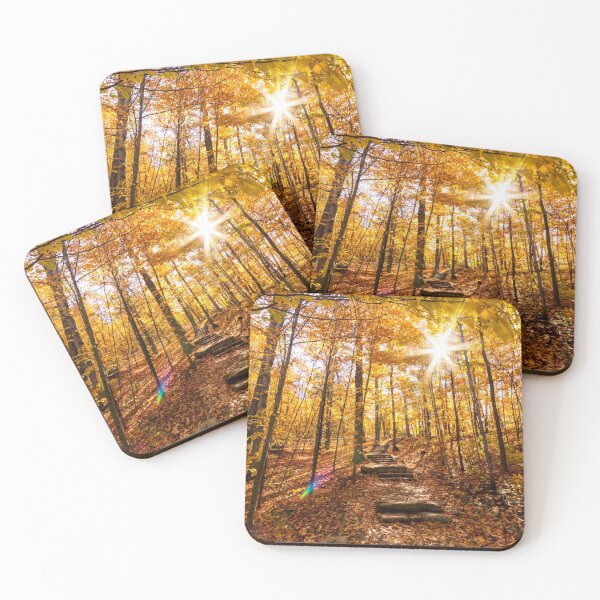 Item preview, Fall Colour in Gatineau Park designed and sold by Karen Hogan.
