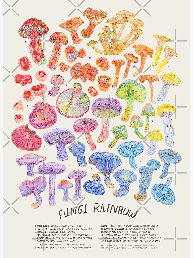 Happy Mushroom Sticker Sheet - Becca