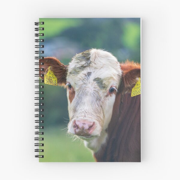 Item preview, Cow in Ireland designed and sold by Roberd Palm.