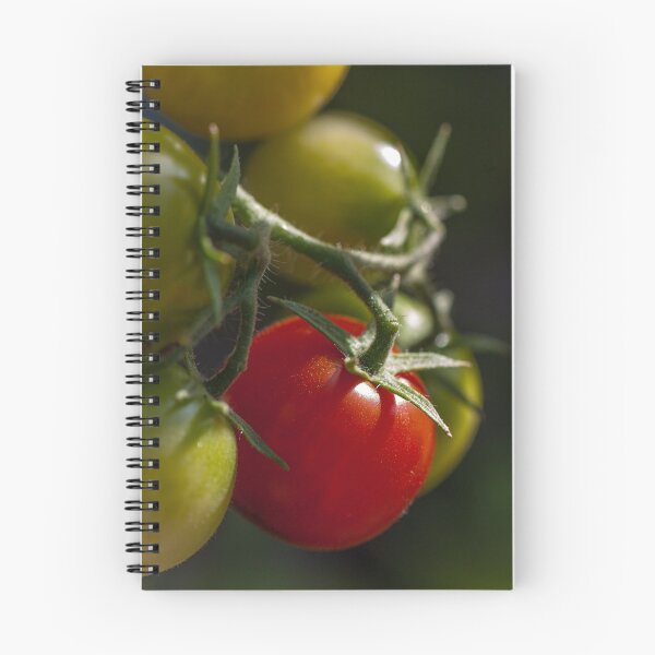 Item preview, Tomate designed and sold by Roberd Palm.