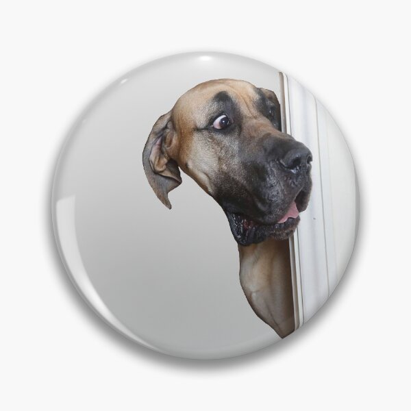 Item preview, Dog Stickers: Baffled Dog designed and sold by Memiefy.