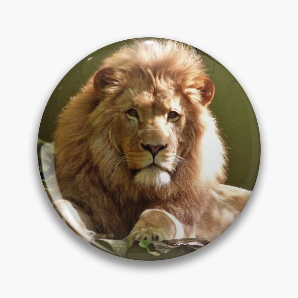 Item preview, Lion watching designed and sold by PET-SHIRTS.