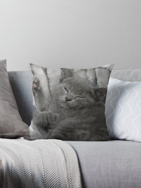 Item preview, Sleeping kitten designed and sold by NW-Photo-Art.