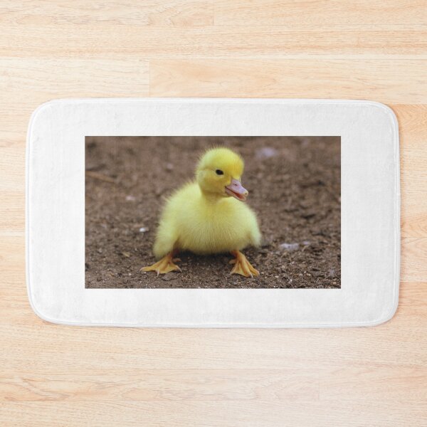 Item preview, Sympathetic duckling designed and sold by PET-SHIRTS.