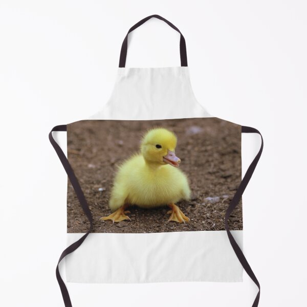 Item preview, Sympathetic duckling designed and sold by PET-SHIRTS.