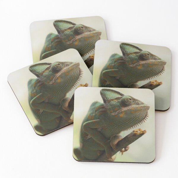 Item preview, Chameleon on a branch designed and sold by PET-SHIRTS.
