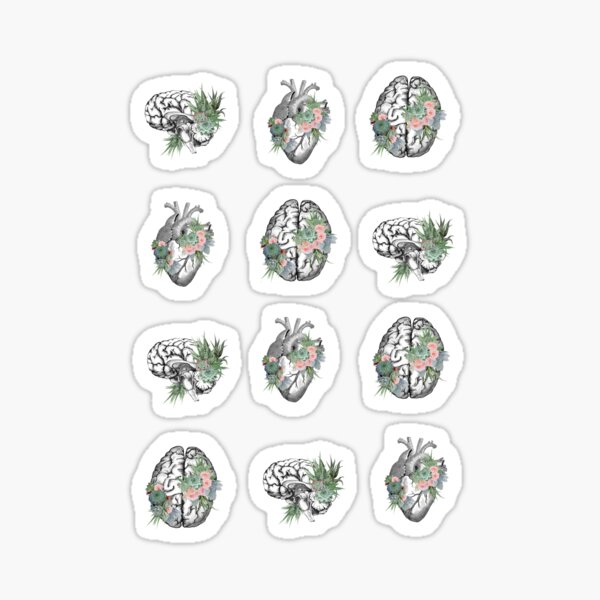 Item preview, Set Human brain and human heart illustration art, succulent plant and roses, succulent lover designed and sold by Collagedream.