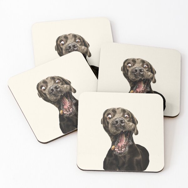 Item preview, Dog Stickers: Doggo trying to catch the treat 2 designed and sold by Memiefy.