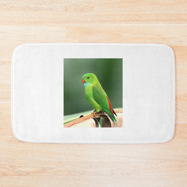 Item preview, Little green bird designed and sold by PET-SHIRTS.