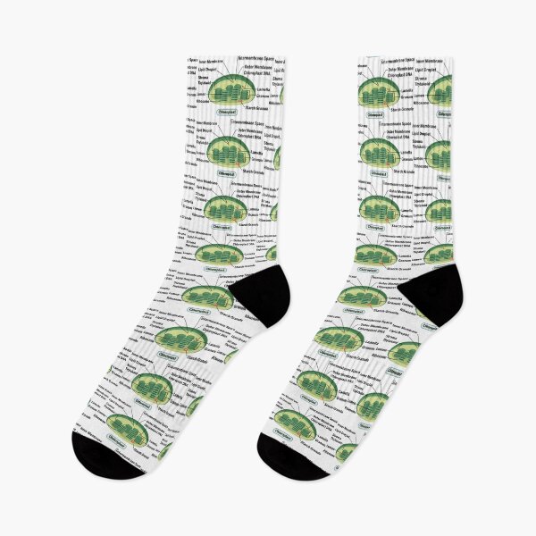 Item preview, Chloroplast, structure within the cells of plants and green algae . science illustration  designed and sold by KARTICK DUTTA.