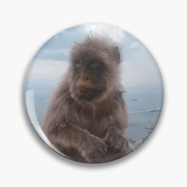 Item preview, super cute monkey sitting on edge on a mountain in Gibraltar, Europe, England designed and sold by Barolina.
