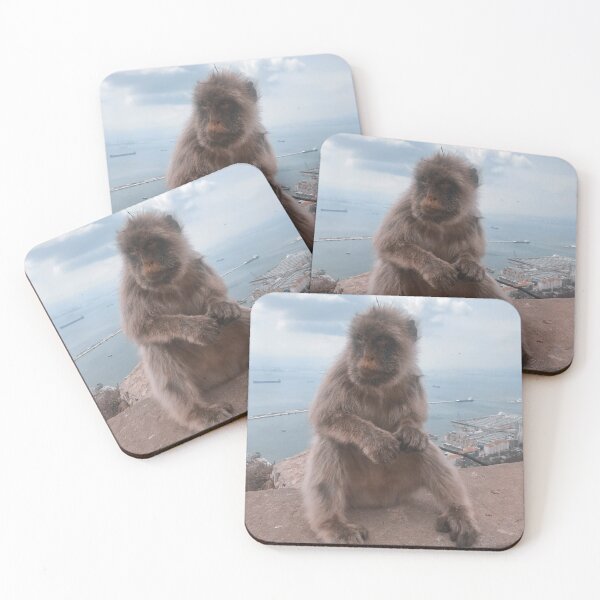 Item preview, super cute monkey sitting on edge on a mountain in Gibraltar, Europe, England designed and sold by Barolina.