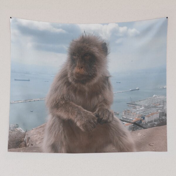 Item preview, super cute monkey sitting on edge on a mountain in Gibraltar, Europe, England designed and sold by Barolina.