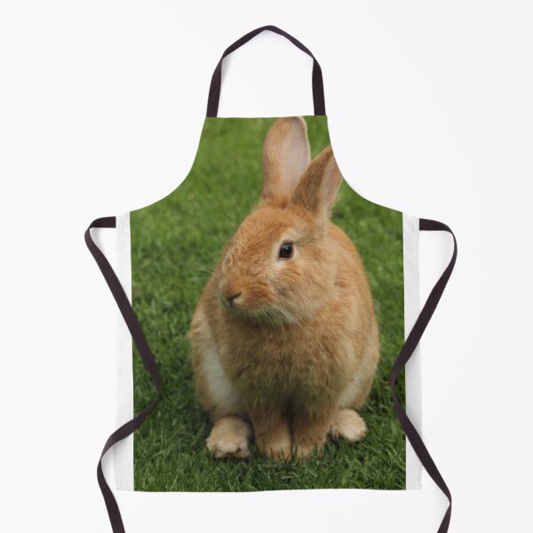 Item preview, Field rabbit designed and sold by PET-SHIRTS.
