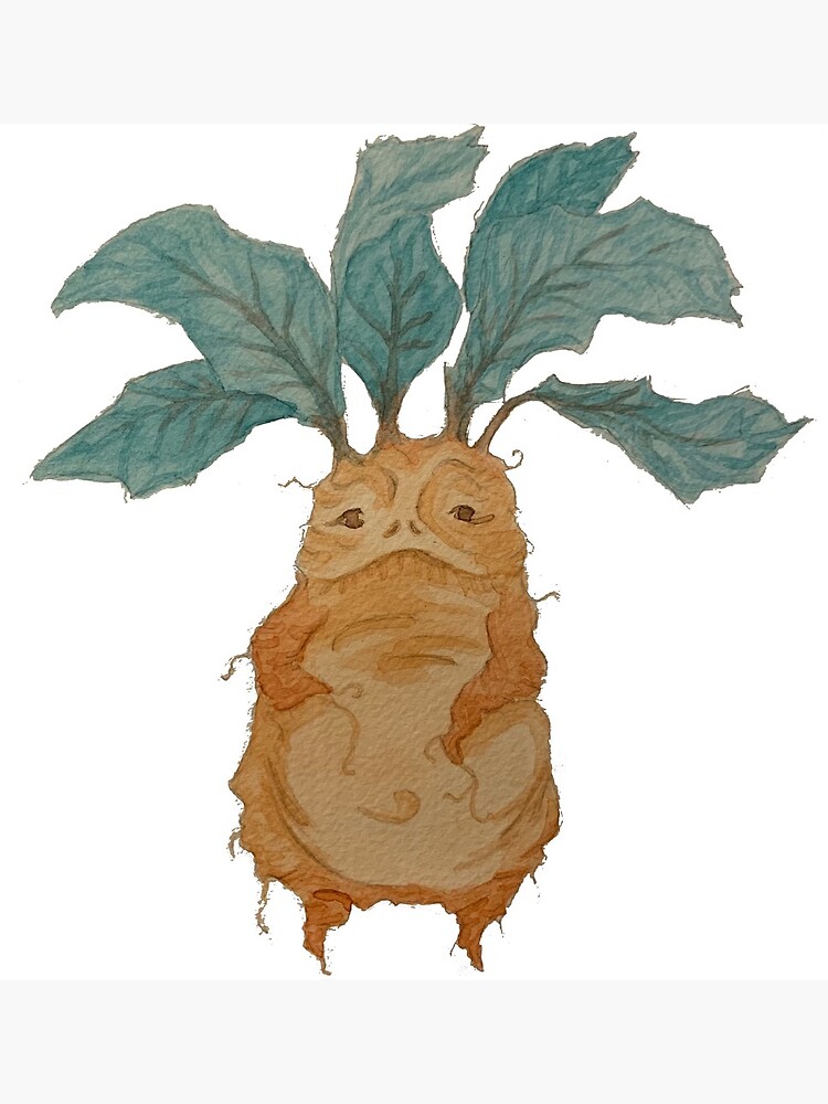 Mandrake Roots Stock Illustrations – 20 Mandrake Roots Stock