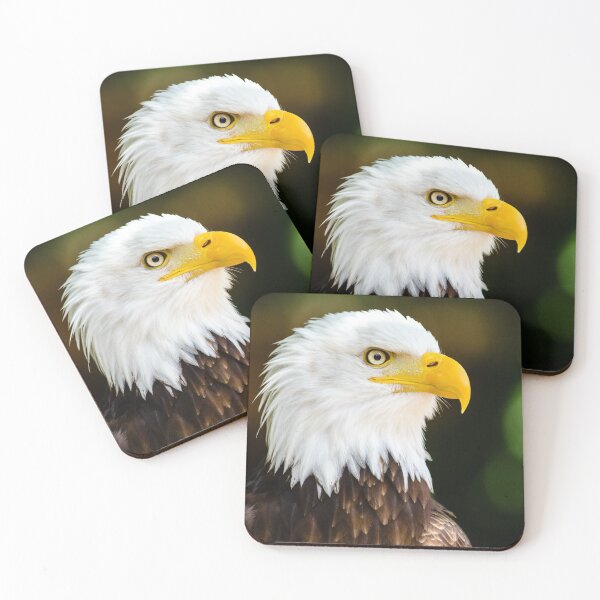Item preview, Bald eagle designed and sold by PET-SHIRTS.