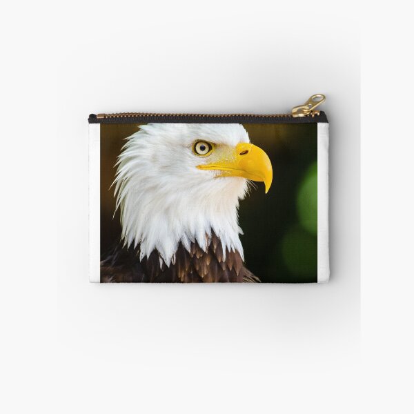 Item preview, Bald eagle designed and sold by PET-SHIRTS.