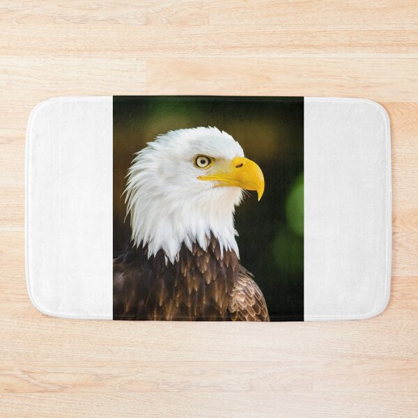 Item preview, Bald eagle designed and sold by PET-SHIRTS.