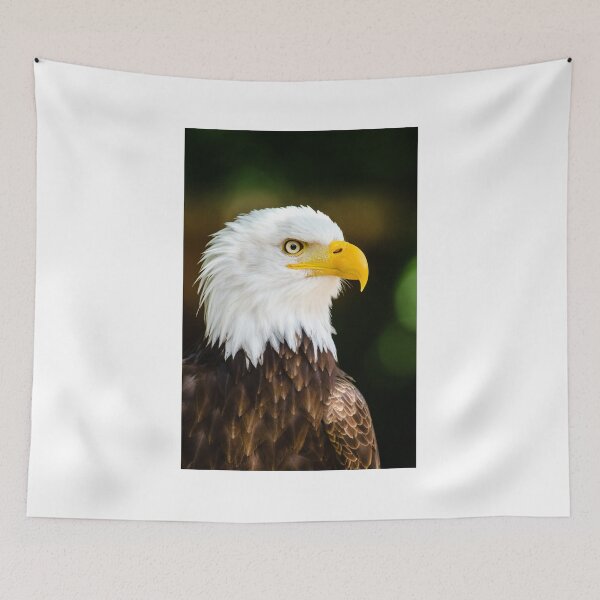 Item preview, Bald eagle designed and sold by PET-SHIRTS.