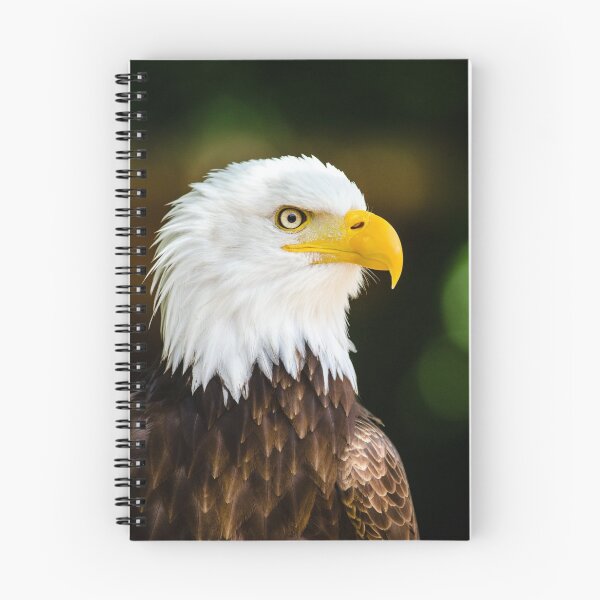 Item preview, Bald eagle designed and sold by PET-SHIRTS.