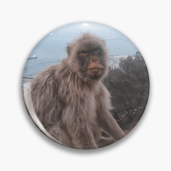 Item preview, Super cute monkey sitting on edge on a mountain in Gibraltar, Europe, England designed and sold by Barolina.