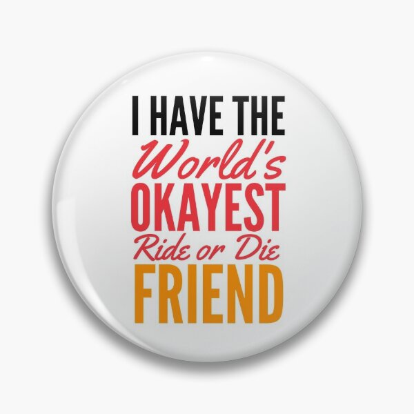 I have the World's Okayest friend Pin