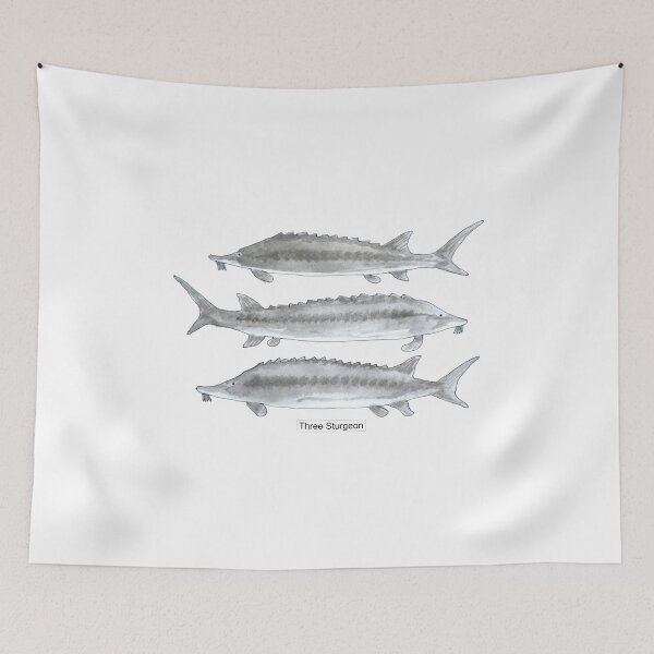 Item preview, Three Sturgeon designed and sold by davidgoble.