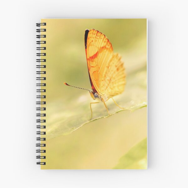 Item preview, An Old Fairy Tale designed and sold by JoaoAlmeidaShop.