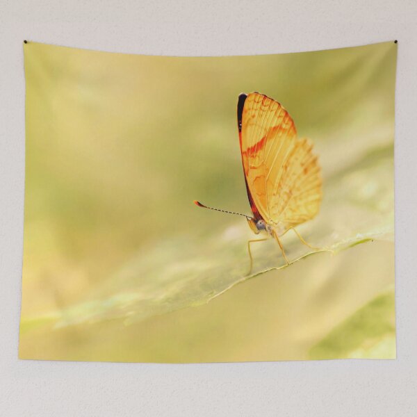 Item preview, An Old Fairy Tale designed and sold by JoaoAlmeidaShop.