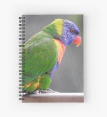 Rainbow Lorikeet Spiral Notebook