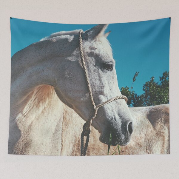 Item preview, Thoroughbred Arab white horse designed and sold by Schuva.
