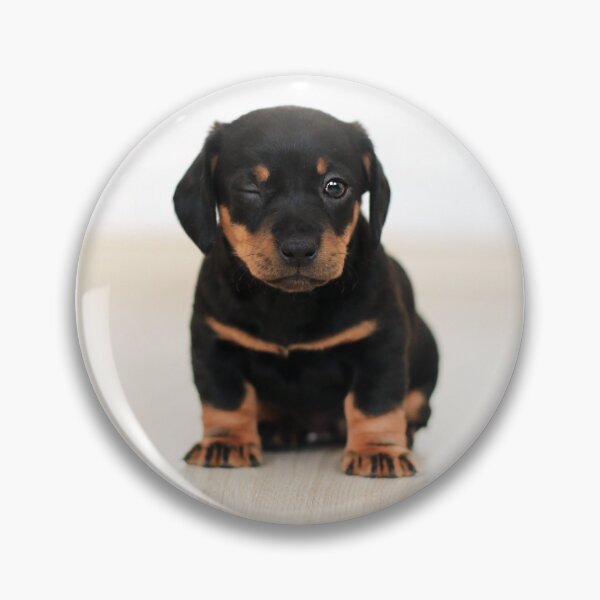 Item preview, Puppy winking designed and sold by PET-SHIRTS.