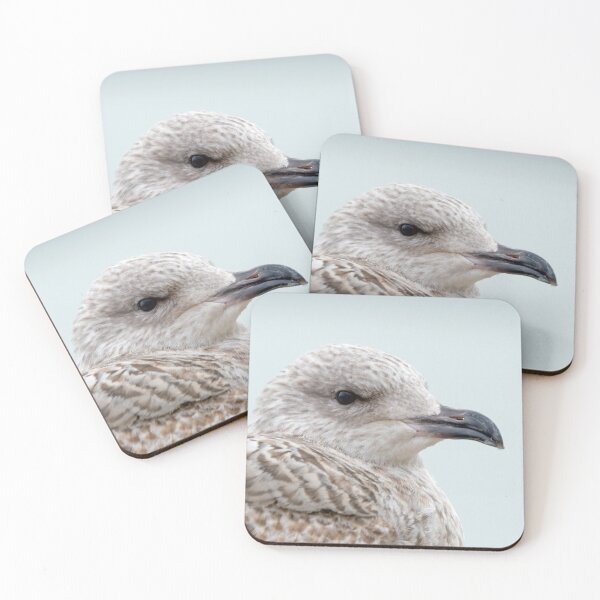 Item preview, Herring Gull Juvenile Head Shot designed and sold by Sue Robinson.
