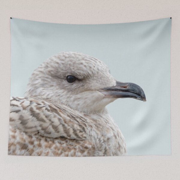Item preview, Herring Gull Juvenile Head Shot designed and sold by Sue Robinson.
