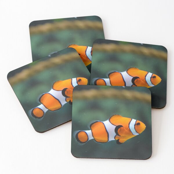Item preview, Clown fish swimming designed and sold by PET-SHIRTS.