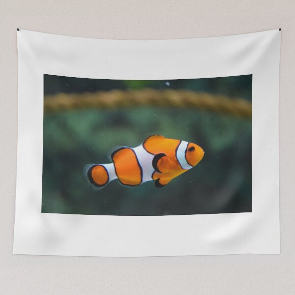 Item preview, Clown fish swimming designed and sold by PET-SHIRTS.