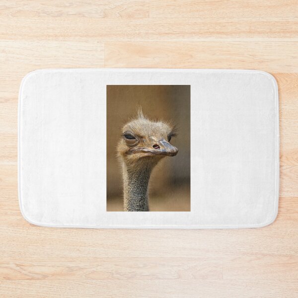 Item preview, Ostrich suspecting designed and sold by PET-SHIRTS.