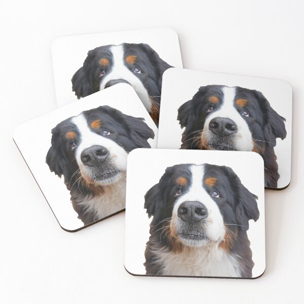 Item preview, Close up of Bernese Mountain Dog  designed and sold by AlbertandOlly.